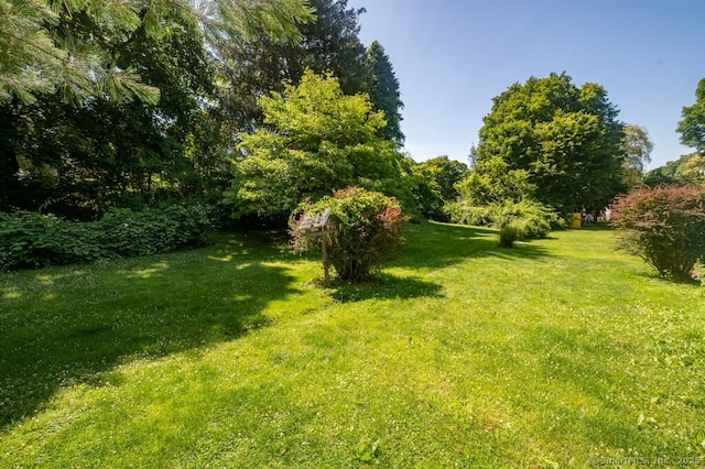 166 Forest St, Hamden, CT 06518