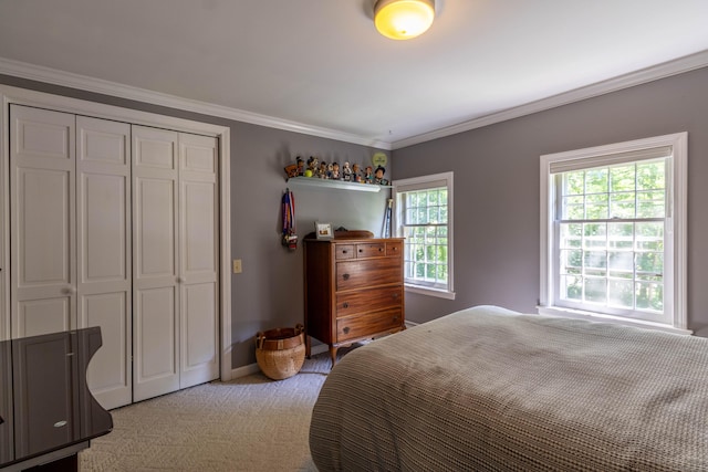 10 Brian Dr, Hebron, CT 06248 - bedroom featuring ornamental molding, light colored carpet, and a closet