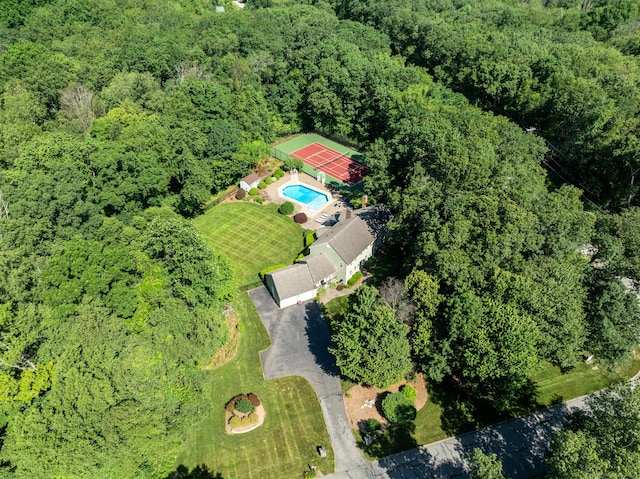 10 Brian Dr, Hebron, CT 06248 - view of property location with a pool and a forest