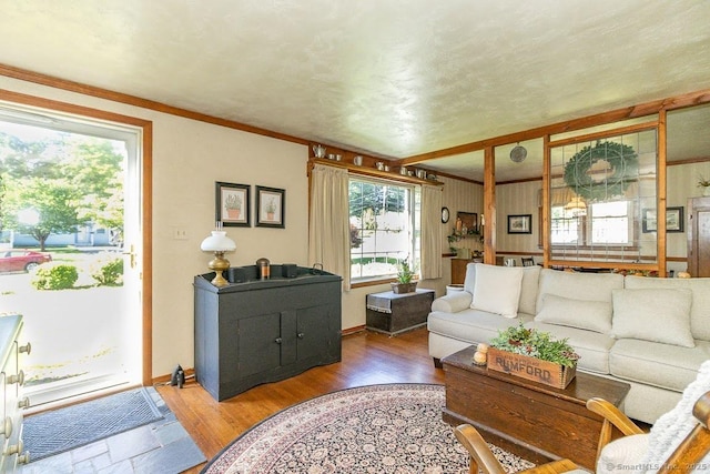 39 Mohawk Ln, Wethersfield, CT 06109 - living room with wood finished floors and ornamental molding