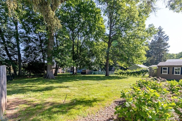 39 Mohawk Ln, Wethersfield, CT 06109 - view of yard