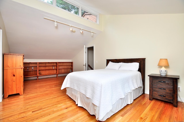 11 Brianwood Ln, Granby, CT 06035 - bedroom featuring lofted ceiling, track lighting, and light wood finished floors