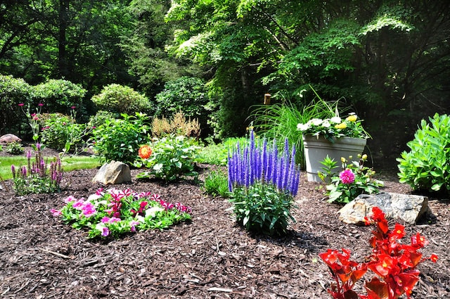 11 Brianwood Ln, Granby, CT 06035 - view of yard