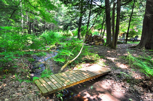 11 Brianwood Ln, Granby, CT 06035 - surrounding community