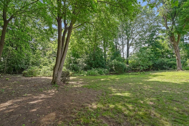 57 Lakeview Ave, Hamden, CT 06514 - view of green lawn