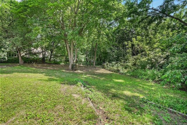 57 Lakeview Ave, Hamden, CT 06514 - view of green lawn