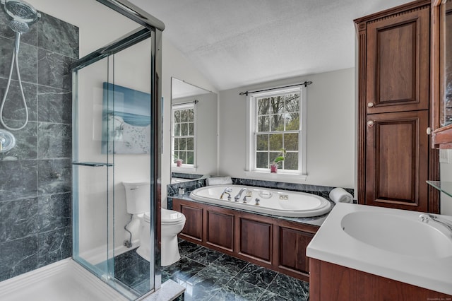 60 Ledgeview Ln, Guilford, CT 06437 - full bathroom featuring a stall shower, lofted ceiling, a bath, marble look tile flooring, and a textured ceiling
