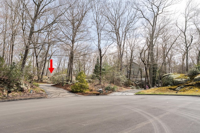 60 Ledgeview Ln, Guilford, CT 06437 - view of asphalt road