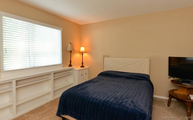 948 Heritage Vlg Unit A, Southbury, CT 06488 - bedroom featuring light colored carpet and baseboards