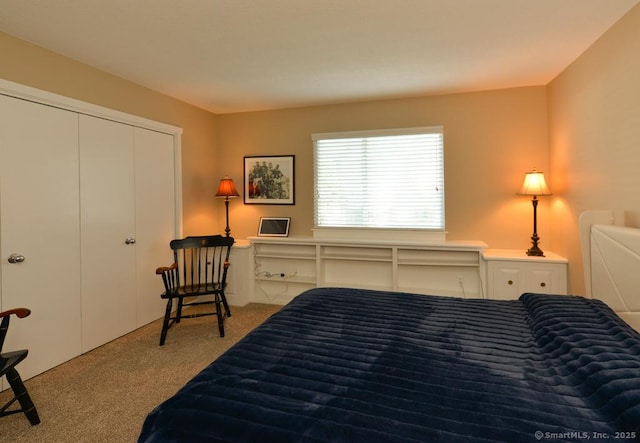 948 Heritage Vlg Unit A, Southbury, CT 06488 - bedroom featuring carpet floors and a closet