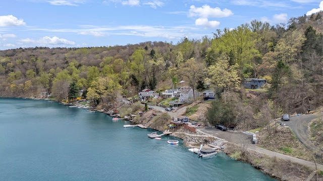 25 Brookbridge Dr, Newtown, CT 06482 - drone / aerial view of a large body of water
