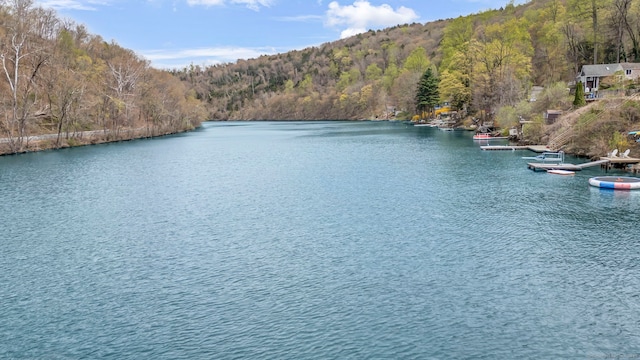 25 Brookbridge Dr, Newtown, CT 06482 - water view featuring a heavily wooded area