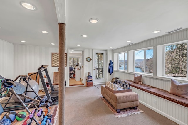 25 Brookbridge Dr, Newtown, CT 06482 - workout area with recessed lighting, carpet floors, and a water view