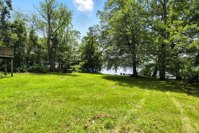 40 Alma Ave, Wolcott, CT 06716 - view of green lawn
