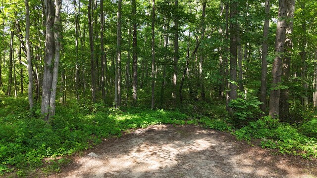 91 Gay Hill Rd, Montville, CT 06382 - photo 20