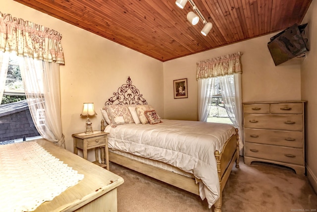 21 Oakwood Ave, Waterbury, CT 06708 - carpeted bedroom with rail lighting, access to exterior, and wooden ceiling