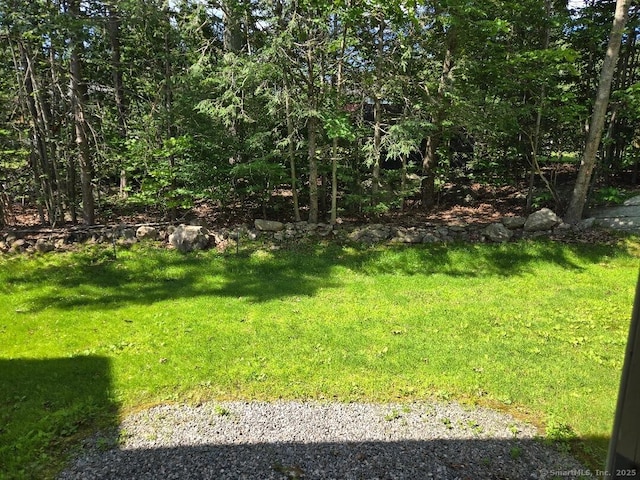 177 Lisle St Apt 5, Torrington, CT 06790 - view of grassy yard