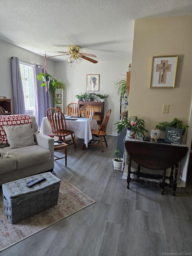 177 Lisle St Apt 5, Torrington, CT 06790 - living room with wood finished floors, a ceiling fan, and a textured ceiling