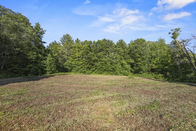 468 E River Rd, Barkhamsted, CT 06065 - photo 33