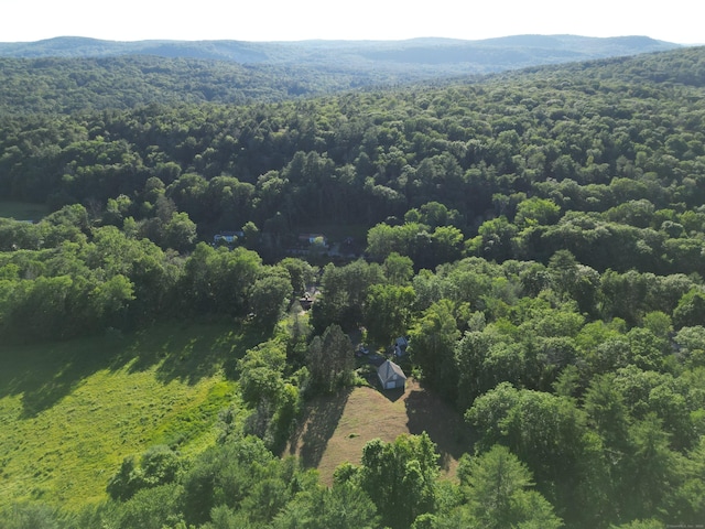 468 E River Rd, Barkhamsted, CT 06065 - photo 37