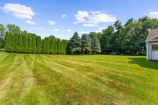 15 Sweet Meadow Dr, South Windsor, CT 06074 - view of green lawn