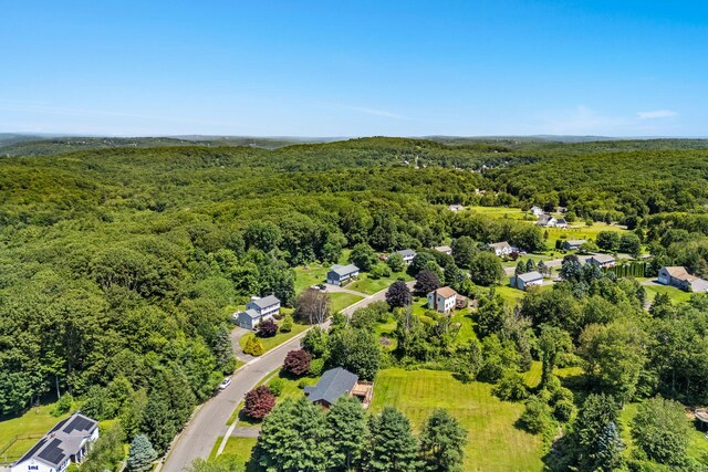 60 Watch Tower Rd, Plymouth, CT 06782 - photo 39