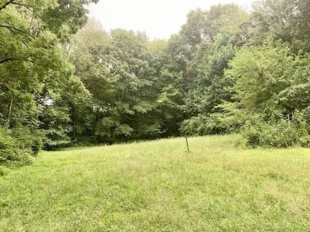 1020 Wintergreen Ave, Hamden, CT 06514 - photo 6