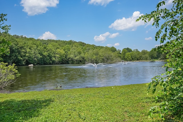 19 Washington St, Trumbull, CT 06611 - photo 35