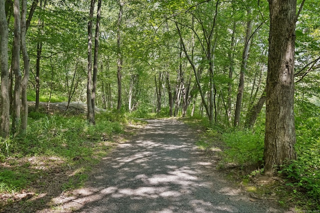 19 Washington St, Trumbull, CT 06611 - photo 38