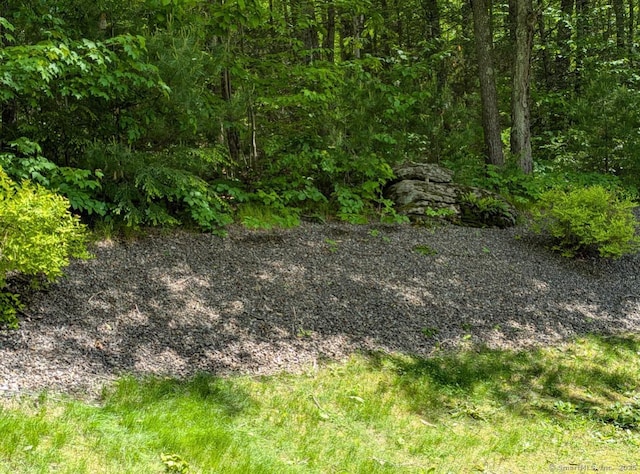 28 Forest Rd, Stafford, CT 06076 - photo 22