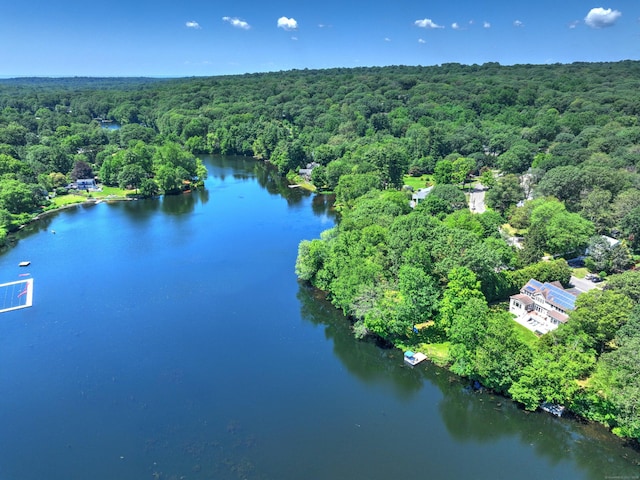 561 Winnepoge Dr, Fairfield, CT 06825 - photo 36