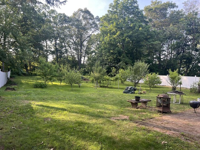 911 Matianuck Ave, Windsor, CT 06095 - view of yard