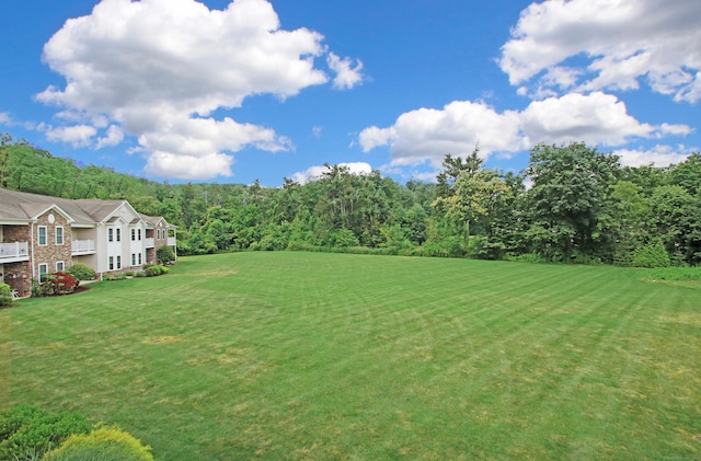 36 Todd St Unit 606, Hamden, CT 06518 - view of green lawn with a forest view