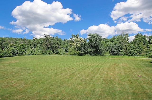 36 Todd St Unit 606, Hamden, CT 06518 - view of grassy yard