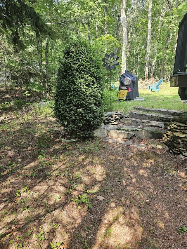 15 Ledge Rd, Lebanon, CT 06249 - view of yard