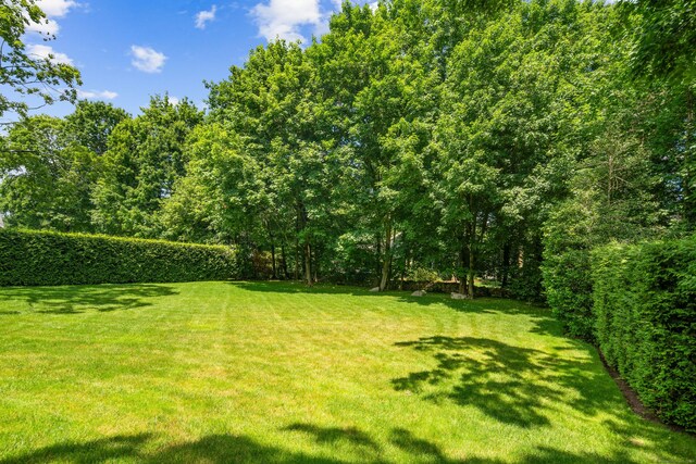 74 Brookside Rd, Darien, CT 06820 - view of green lawn