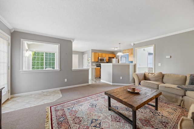 51 Schoolhouse Lndg Unit 51, East Granby, CT 06026 - living room featuring crown molding, light colored carpet, and a textured ceiling