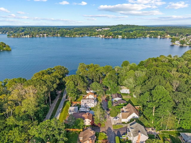 7 Sears Pl, East Hampton, CT 06424 - photo 6