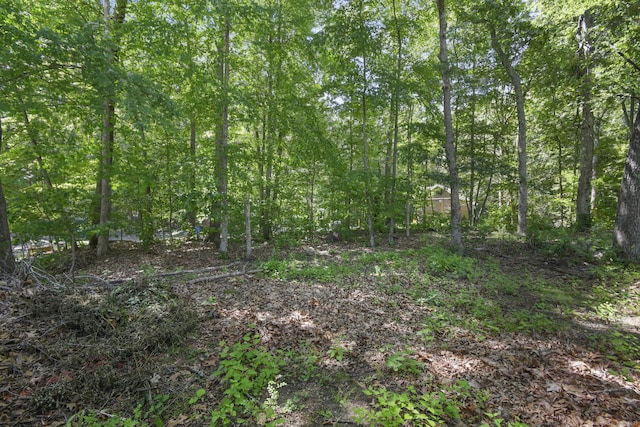 28 Nashua St, Norwich, CT 06360 - view of local wilderness