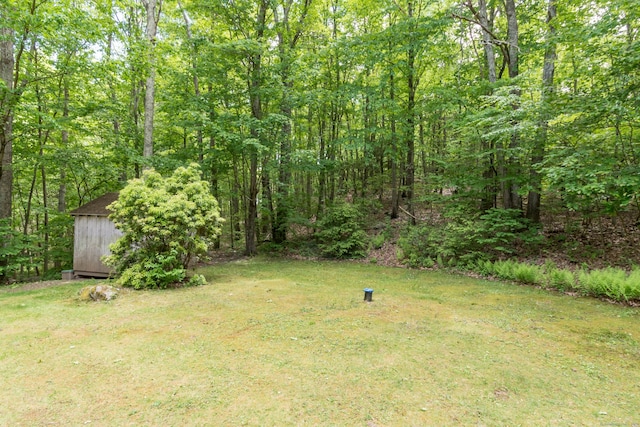 4 Leopard Dr, Newtown, CT 06482 - photo 28