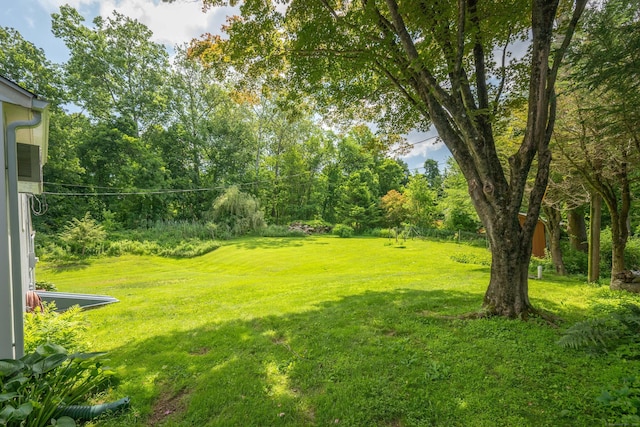 25 Old Middle Rd, Brookfield, CT 06804 - view of grassy yard featuring view of wooded area