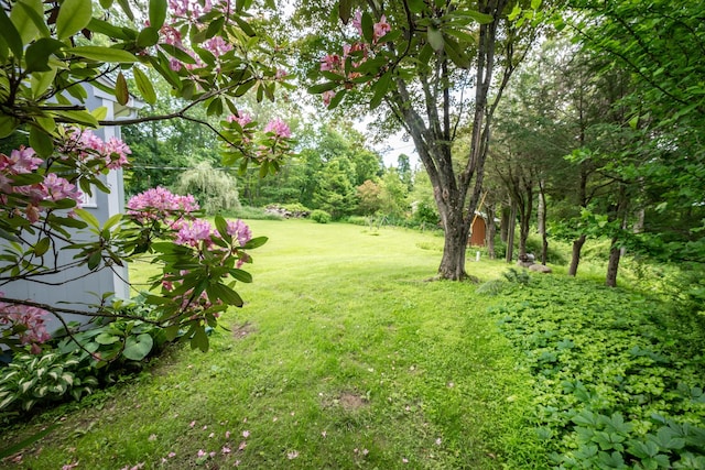25 Old Middle Rd, Brookfield, CT 06804 - view of green lawn