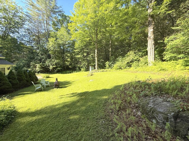 389 Colebrook River Rd, Colebrook, CT 06065 - photo 13