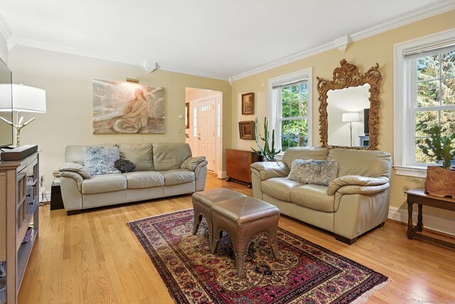 44 Enrico Rd, Bolton, CT 06043 - photo 14