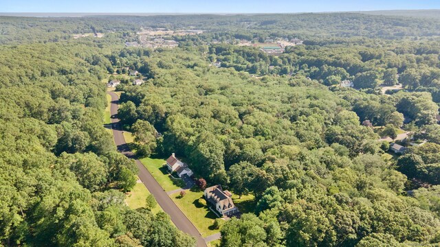 18 Sandpiper Ln, East Lyme, CT 06333 - bird's eye view of a forest