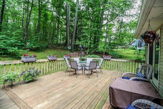 68 Connelly Rd, New Milford, CT 06776 - photo 35