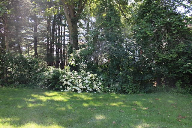 28 Knollwood Rd, Burlington, CT 06013 - photo 19
