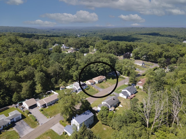 15 Denis Dr, Thompson, CT 06255 - aerial perspective of suburban area with a heavily wooded area