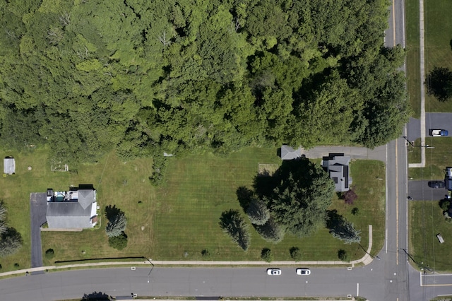 1147 Hill St, Bristol, CT 06010 - photo 17