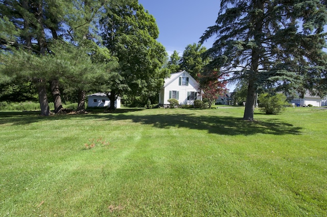 1147 Hill St, Bristol, CT 06010 - photo 14